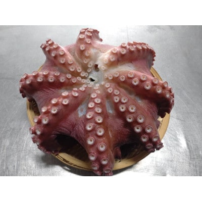 羅臼産たこ足カット 700g(2～4パック)