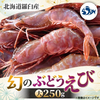 羅臼産 幻のぶどうえび 大 250g