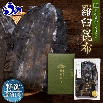 北海道羅臼町 羅臼昆布 養殖 1等 480g(LLサイズ480g×1個)
