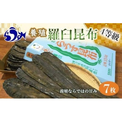 養殖4等 羅臼昆布7枚セット(350g~500g)【北海道 知床 羅臼産】