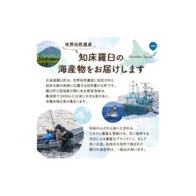 養殖4等 羅臼昆布7枚セット(350g~500g)【北海道 知床 羅臼産】