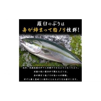 ぶり三昧(1)【4分の1尾分】小分け真空パック【北海道羅臼町】