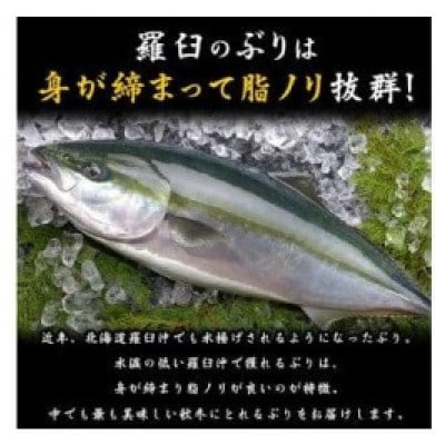 ぶり三昧(2)【半身分】小分け真空パック【北海道羅臼町】