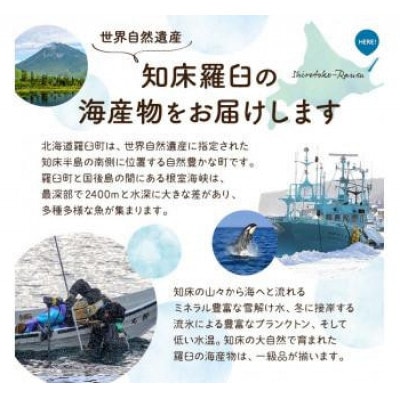 【毎月定期便】羅臼の魚 おすすめセット(1)全12回