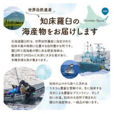 【毎月定期便】羅臼の魚おすすめセット(1)全2回