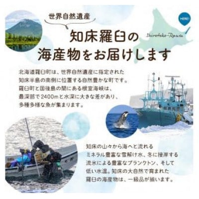 【毎月定期便】羅臼の魚おすすめセット(1)全10回