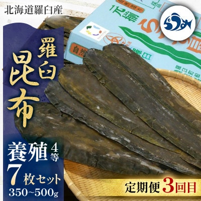 【毎月定期便】羅臼昆布の出汁比べ定期便(等級比較)全3回