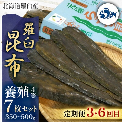 【毎月定期便】羅臼昆布の出汁比べ定期便(等級比較)全6回