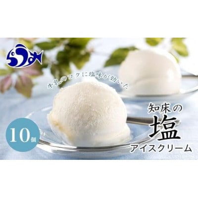 北海道羅臼町　知床の塩アイスクリーム 100ml×10個　塩味・まろやかな甘み・牛乳の風味が楽しめる
