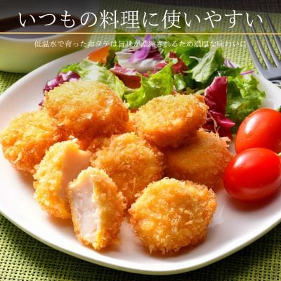 北海道羅臼町【訳あり】不揃いホタテ (4s～6sサイズ 450g×1)