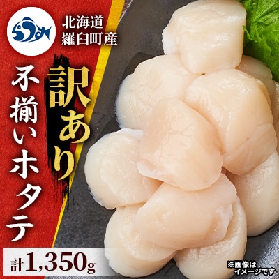 北海道羅臼町【訳あり】不揃いホタテ 1,350g (4s～6sサイズ 450g×3)