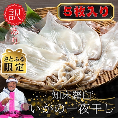 【さとふる限定】羅臼町厳選　訳あり　イカの一夜干し 大5枚