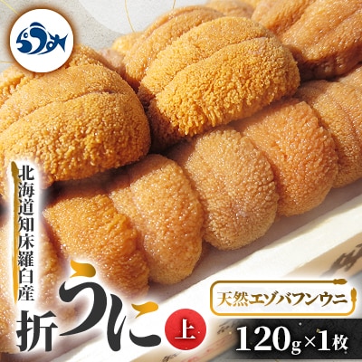 〈上〉折うに 120g×1枚 天然エゾバフンウニ【北海道知床羅臼産】
