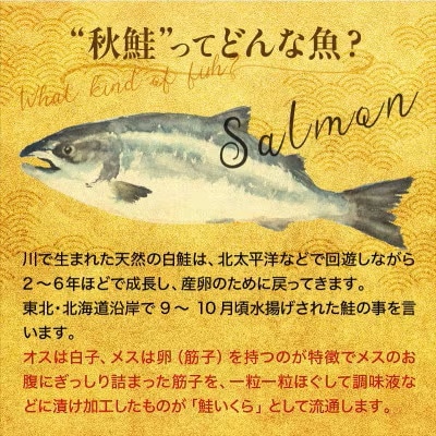北海道産 いくら(鮭卵)醤油漬 200g
