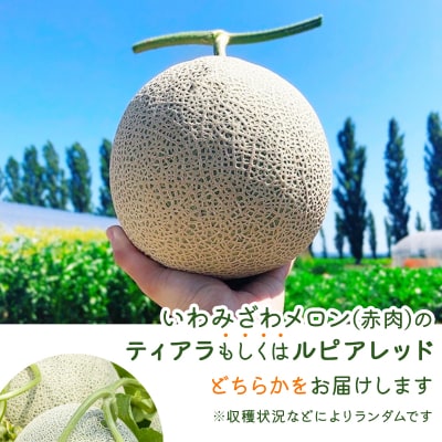 <先行受付>産地直送!北海道『いわみざわメロン2玉(赤肉)』2025年夏にお届け!