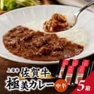 佐賀牛極美カレー(中辛)【200g×5箱】(玄海町)【A108】