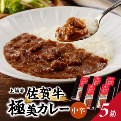 佐賀牛極美カレー(中辛)【200g×5箱】(玄海町)【A108】
