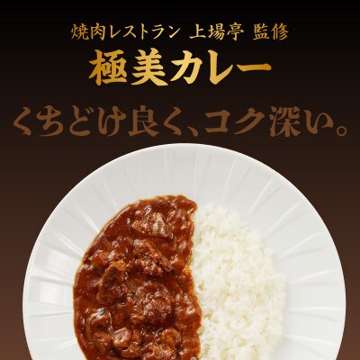 上場亭カレー3箱・極美カレー・ビーフシチュー各2箱セット(玄海町)【B173】