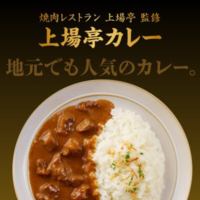 上場亭　カレー(中辛)5箱入(玄海町)【A007】