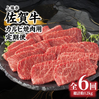 【毎月定期便】トップブランド牛「佐賀牛カルビ焼肉用」定期便　約500g×4パック【Z107】全6回