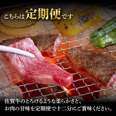 【毎月定期便】トップブランド牛「佐賀牛カルビ焼肉用」定期便　約500g×4パック【Z107】全6回