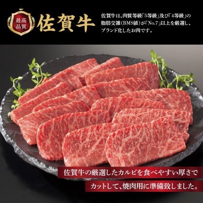 【発送月固定定期便】佐賀牛「カルビ焼肉用」&「ロースステーキ」定期便【Z092】全12回