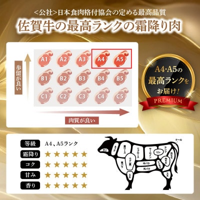 【発送月固定定期便】佐賀牛「カルビ焼肉用」&「ロースステーキ」定期便【Z092】全12回