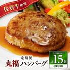 【毎月定期便】【佐賀牛】ハンバーグ 140g×5個(オリジナル特製ソース付)玄海町【Z086】全3回