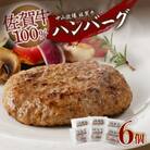 佐賀牛ハンバーグ(6個入り)/ 約130g×6個【B053】