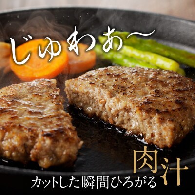 佐賀牛ハンバーグ(6個入り)/ 約130g×6個【B053】