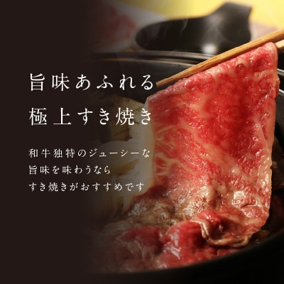 【佐賀牛】赤身スライス (600g×4パック 計2.4kg)【C075】
