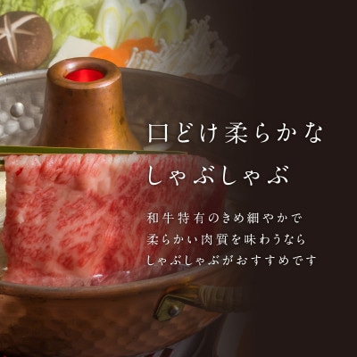 【佐賀牛】赤身スライス (600g×4パック 計2.4kg)【C075】