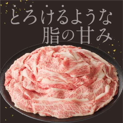 【訳あり】【佐賀牛】切り落とし500g(500g×1パック)【B182】