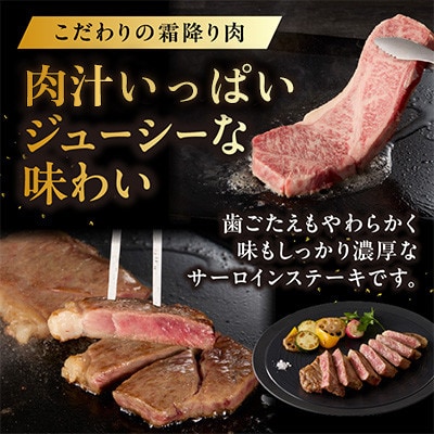 中山牧場 佐賀牛サーロインステーキ 500g【C079】