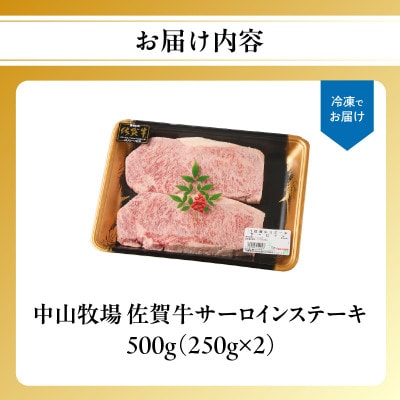 中山牧場 佐賀牛サーロインステーキ 500g【C079】