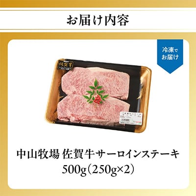 中山牧場 佐賀牛サーロインステーキ 500g【C079】