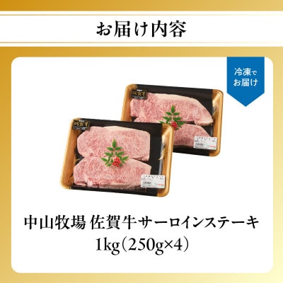 中山牧場 佐賀牛サーロインステーキ 1kg【C080】