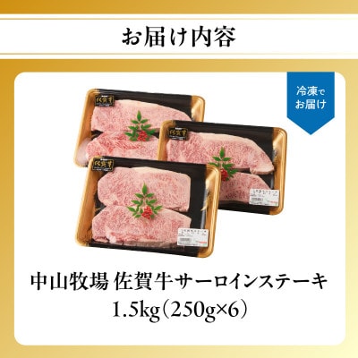 中山牧場 佐賀牛サーロインステーキ 1.5kg【C081】