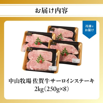 中山牧場 佐賀牛サーロインステーキ 2kg【C082】