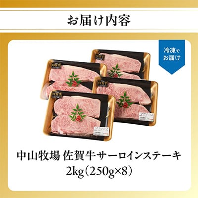 中山牧場 佐賀牛サーロインステーキ 2kg【C082】