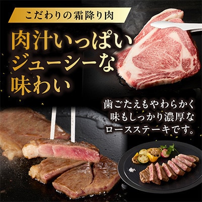 中山牧場 佐賀牛ロースステーキ 1kgとローストビーフ2本【C097】