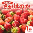 (予約受付)【平川いちご農園 佐賀県玄海町産「さがほのか」1箱【D022】