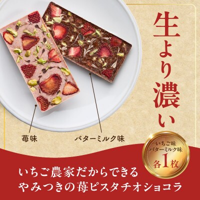 苺ピスタチオショコラ【A177】