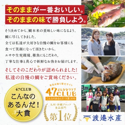 明日の夜は高級鯛しゃぶセット【B097】