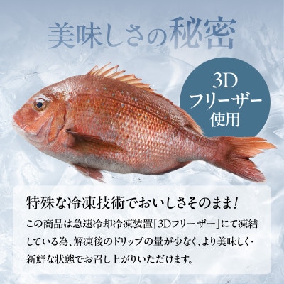 ブランド鯛「穂州鯛」鯛茶漬け(5パック)【A173】