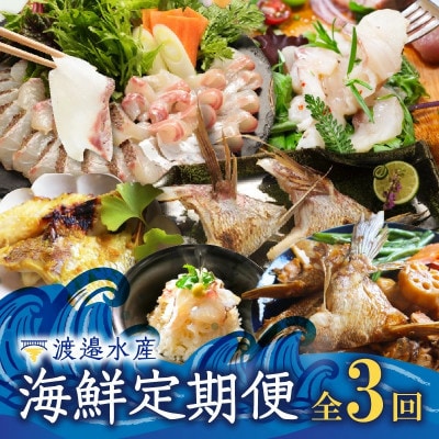 【発送月固定定期便】渡邉水産・海鮮定期便(1月～3月発送)【Z071】全3回