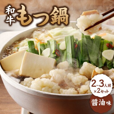 食工房すいぐん和牛もつ鍋(醤油)2～3人前×2セット【B068】