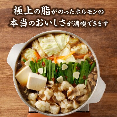 食工房すいぐん和牛もつ鍋(醤油)2～3人前×2セット【B068】