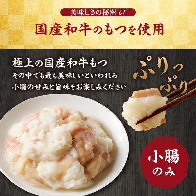食工房すいぐん和牛もつ鍋(醤油)2～3人前×2セット【B068】