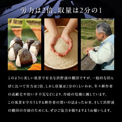 【先行予約】「数量限定」浜野浦の棚田米 5kg【B123】